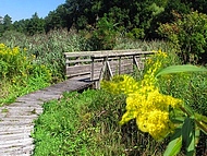marais de Chirens