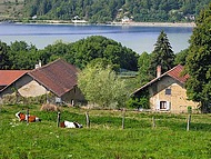 le lac de Paladru vu de Bilieu
