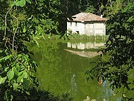 Le Pin, tangs du Moulin