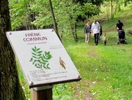Massieu. Parc de La Murgire.