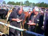 foire de Beaucroissant