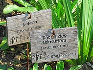 Beauvoir en Royans. Jardin mdival.