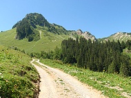 prairies alpines