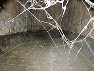 Bonal aujourd'hui, les anciennes caves.