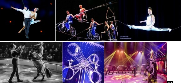 artistes de l'dition 2017