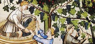 moyen age vinicole