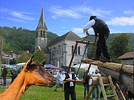 les mtiers d'antan