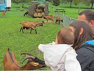 le carr des chvres  la foire de St Aupre