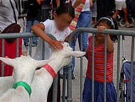la fte des enfants