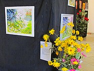 galeries des artistes