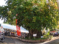 tmoin de la fte