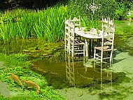 motif au Jardin des Fontaines ptrifiantes