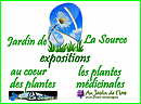 Au coeur des plantes, l'envers de leur dcor, Les plantes mdicinales et leurs lgendes,