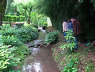 chez Denise, le jardin, le ruisseau