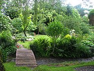 chez Denise, le jardin, le petit pont