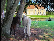 Longpra, ballade dans le parc