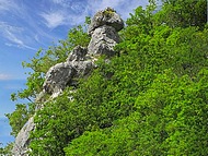 Cognin les Gorges, le chapeau de Napolon