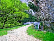 Cognin les Gorges, pont de Montchardon