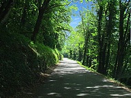 Cognin les Gorges, route des gorges