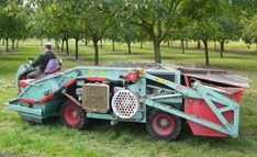 Noix de Grenoble, machine de ramassage.