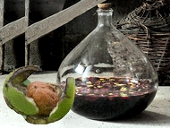 Noix de Grenoble, le vin de noix.
