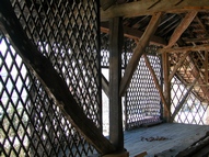 Noix de Grenoble, schoir.