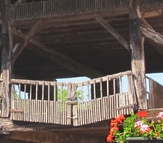 Noix de Grenoble, schoir.
