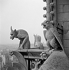 restaurateur de ND de Paris