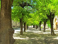 St Antoine l'Abbaye, cour de l'abbatiale