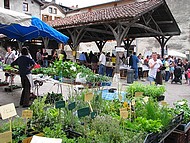 St Antoine l'Abbaye, fte aux plantes