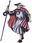 plerin de St Antoine