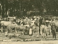 foire St Martin Voiron, dans les annes 1900!
