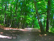 GR65 Via Gebennensis