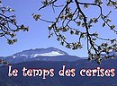 Le temps des cerises est de retour. Venez le voir, le toucher, venez le humer.. 