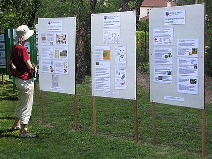 avec Au Jardin de Flore, les plantes mdicinales.