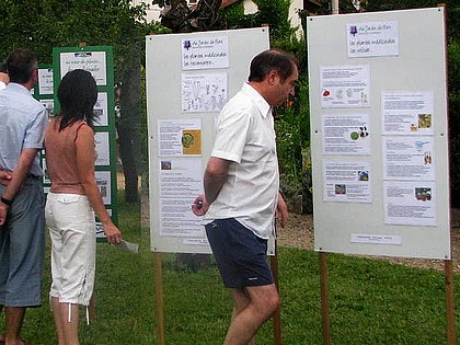avec Au Jardin de Flore, les plantes mdicinales.