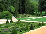 La roseraie du parc de Vizille