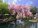 printemps