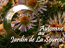 Promenade d'images, offerte aux talents de Vivaldi, Albinoni, Carulli, Rodrigo, Beethoven...