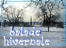 Lorsque la neige recouvre notre campagne, tout prend une autre dimension dans les lumires hivernales.