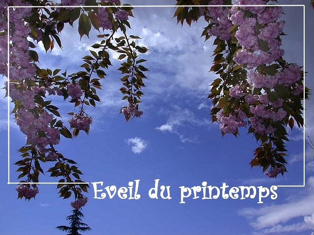 la saison du renouveau. C'est l'veil du printemps au Jardin de La Source