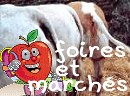 Marchs perptuels ou ftes reconstitues... peu importe !