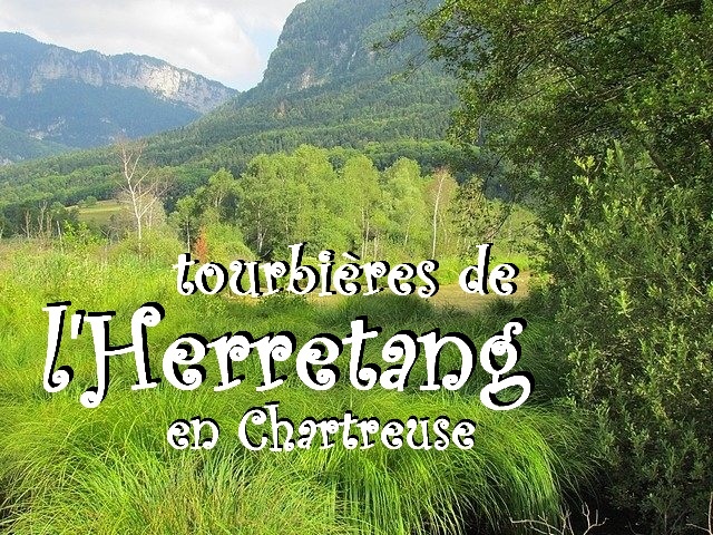 Tmoignage d'une incroyable richesse vgtale et animale.