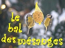 les boules de couleurs virevoltent autour des mangeoires