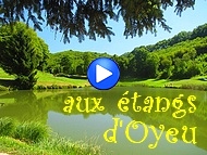 au paradis !