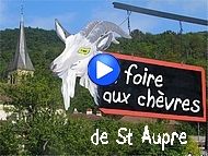 le secret de l'ancestrale foire aux chvres de St Aupre