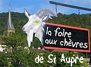Machine  remonter le temps,  retrouver un peu de nos entrailles paysannes, la foire aux biquettes est devenue une grande fte populaire.