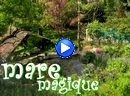 Sur la nappe des nnuphars, le paradis.