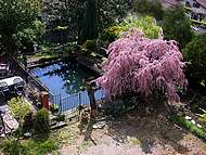 Tamaris du Gite La Source