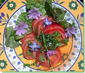 recette de Flore